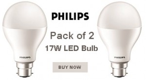 Philips 17W LED Bulb
