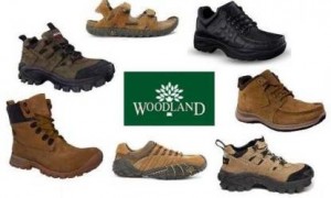 Men Woodland Shoes