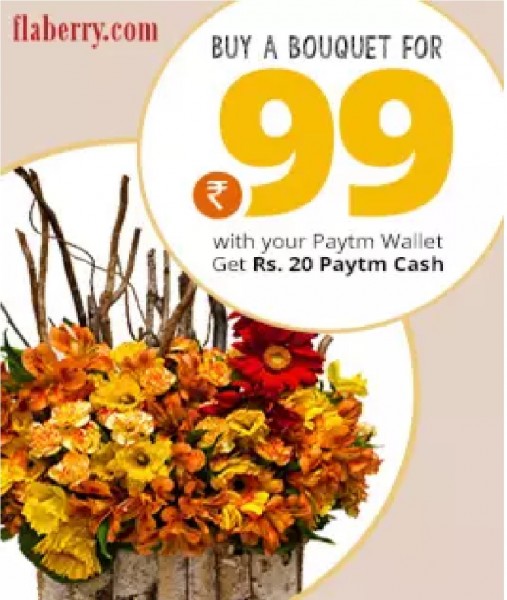 Flaberry Paytm offer
