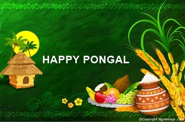 pongal offers
